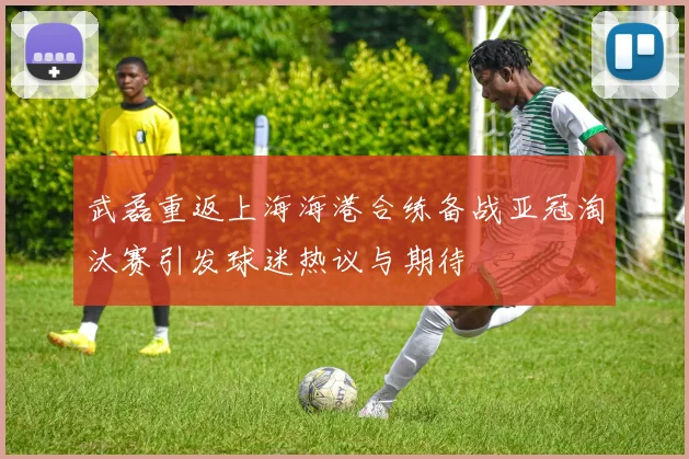 武磊重返上海海港合练备战亚冠淘汰赛引发球迷热议与期待